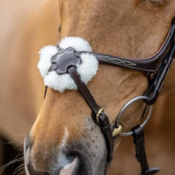 LeMieux Grackle Figure-8 Bridle -Lemie Horse Care Shop it02644 1109 alt2