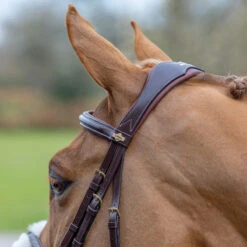 LeMieux Grackle Figure-8 Bridle -Lemie Horse Care Shop it02644 1109 alt3