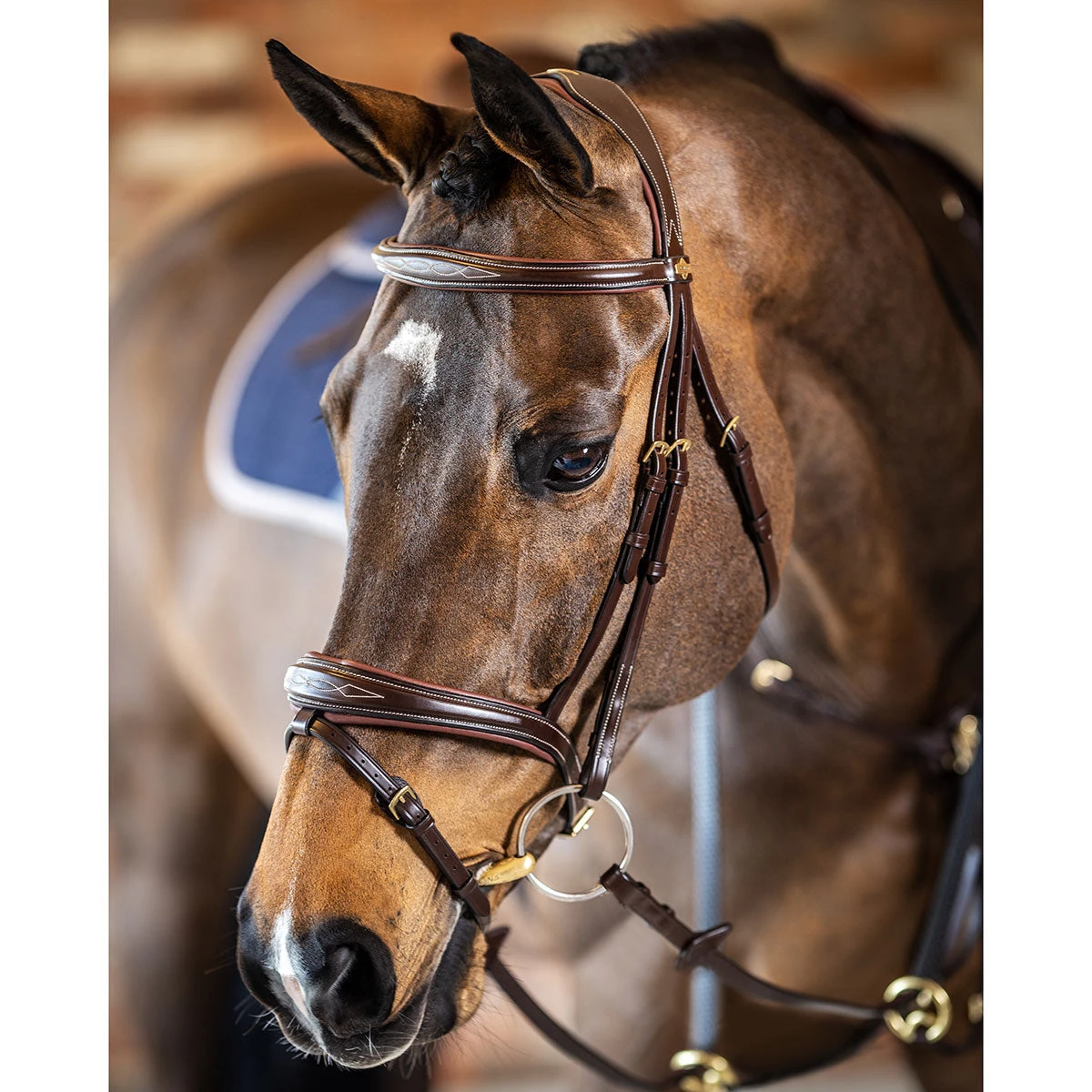 LeMieux Competition Flash Bridle 4 LeMieux Competition Flash Bridle - Image 2