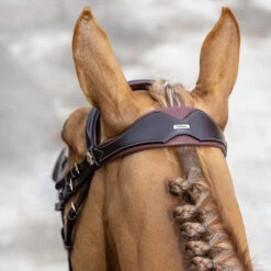 LeMieux Competition Flash Bridle 12 LeMieux Competition Flash Bridle -Lemie Horse Care Shop it02645 c1109 alt2