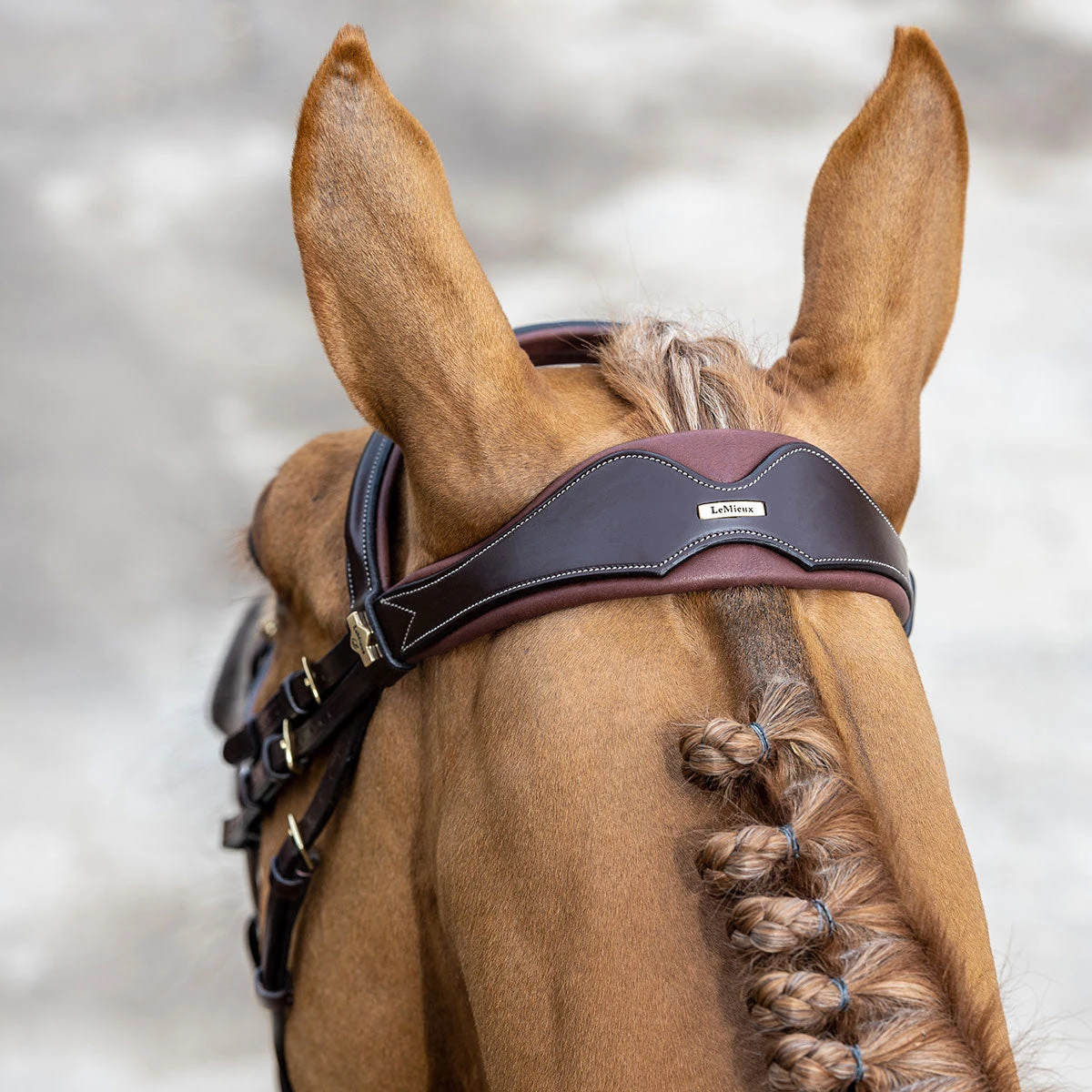 LeMieux Competition Flash Bridle 6 LeMieux Competition Flash Bridle - Image 4