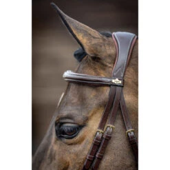 LeMieux Competition Flash Bridle 11 LeMieux Competition Flash Bridle -Lemie Horse Care Shop it02645 c1109 alt3