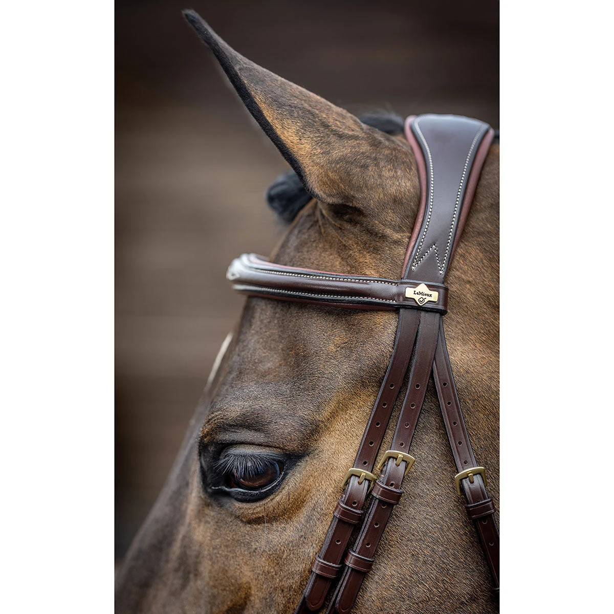 LeMieux Competition Flash Bridle 5 LeMieux Competition Flash Bridle - Image 3