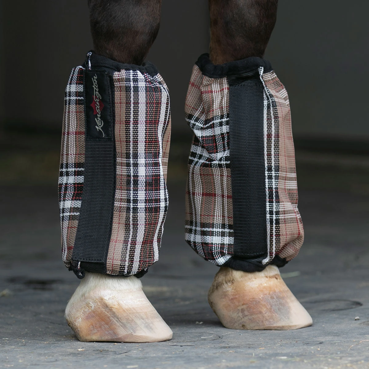 Kensington BubbleBoots Set Of 4 4 Kensington BubbleBoots Set Of 4 - Image 2