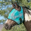 Kensington Signature Fly Mask With Web Trim 2 Kensington Signature Fly Mask With Web Trim -Lemie Horse Care Shop kfm100 c1170