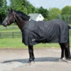 Country Pride Calgary Heavyweight Turnout Blanket -Lemie Horse Care Shop ktl1533 c1105