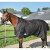 Country Pride Paladin High Neck Heavyweight Turnout Blanket -Lemie Horse Care Shop ktl1540 c1105 bdfe22fe 9fdc 4473 9001 8cd442392e95