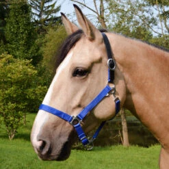 Country Pride Breakaway Nylon Halter -Lemie Horse Care Shop ktl1852 c1106