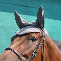 Fenwick Liquid Titanium Therapeutic Ear Cover -Lemie Horse Care Shop lt102 c1125