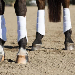 Professionals Choice Pro Performance Elite XC Boots Hind -Lemie Horse Care Shop pmxcr c1172