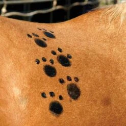 Tail Tamer Pony Paints 4 Oz -Lemie Horse Care Shop ppnts c1106 alt1