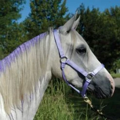 Tail Tamer Pony Paints 4 Oz -Lemie Horse Care Shop ppnts c1106 alt2