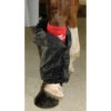 Professional Choice Sports Medicine Boot Covers 2 Professional Choice Sports Medicine Boot Covers -Lemie Horse Care Shop smc c1105