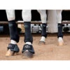 Professionals Choice 2XCool Sports Medicine Boots 4-Pack -Lemie Horse Care Shop xc4 c1105